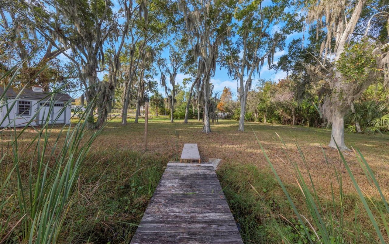 2661 Cyprus Drive, Palm Harbor, FL 34684 Photo