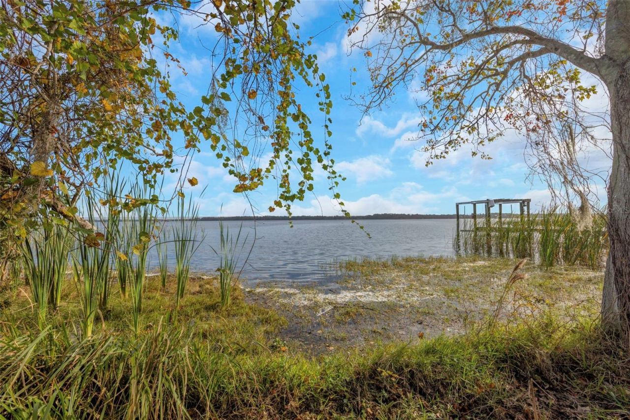 2661 Cyprus Drive, Palm Harbor, FL 34684 Photo