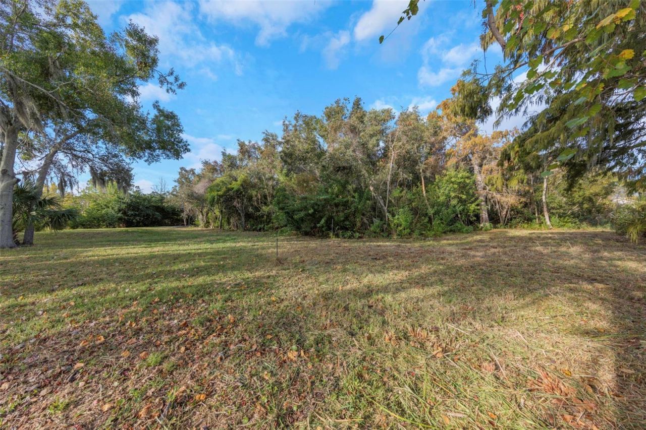 2661 Cyprus Drive, Palm Harbor, FL 34684 Photo