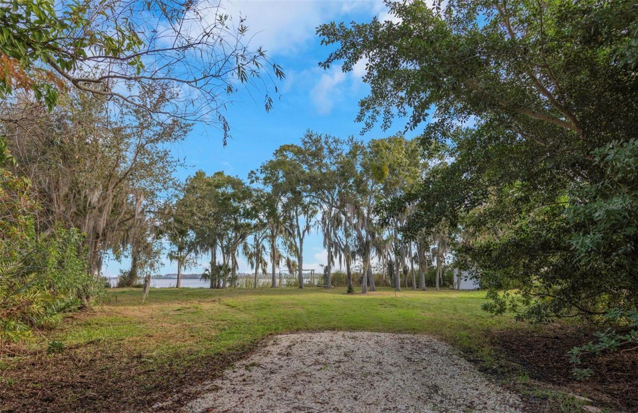 2661 Cyprus Drive, Palm Harbor, FL 34684 Photo