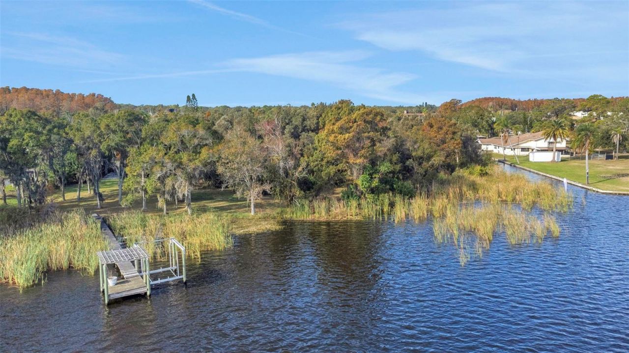 2661 Cyprus Drive, Palm Harbor, FL 34684 Photo