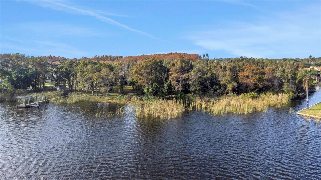 2661 Cyprus Drive, Palm Harbor, FL 34684 Photo