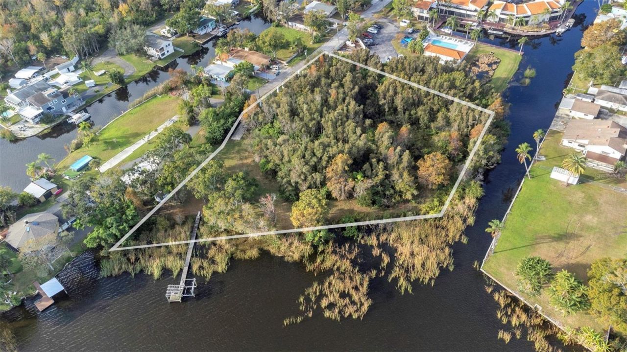 2661 Cyprus Drive, Palm Harbor, FL 34684 Photo