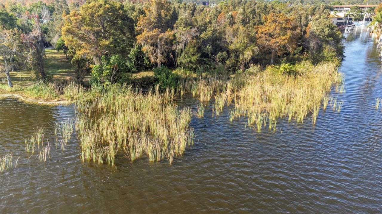 2661 Cyprus Drive, Palm Harbor, FL 34684 Photo