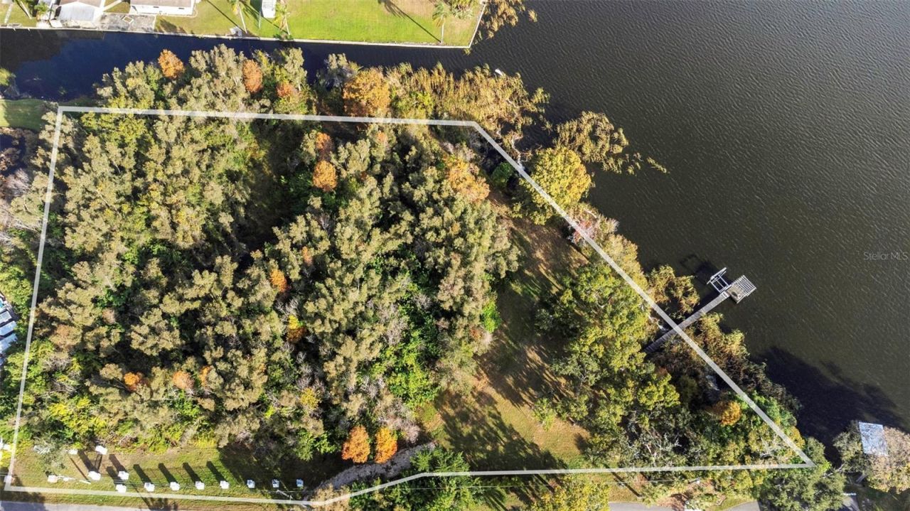 2661 Cyprus Drive, Palm Harbor, FL 34684 Photo