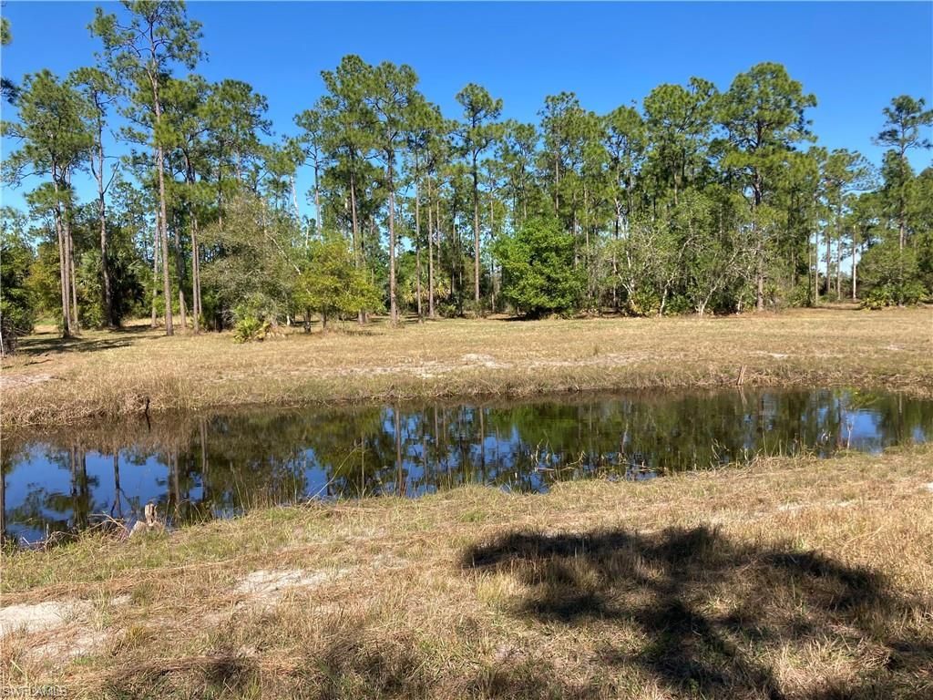 Xxx Honeybee Dr, Naples, FL 34120 Photo
