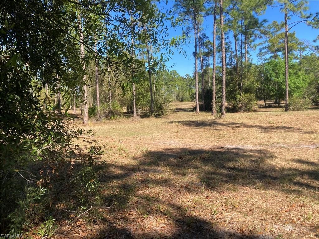 Xxx Honeybee Dr, Naples, FL 34120 Photo
