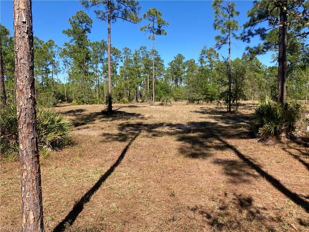 Xxx Honeybee Dr, Naples, FL 34120 Photo