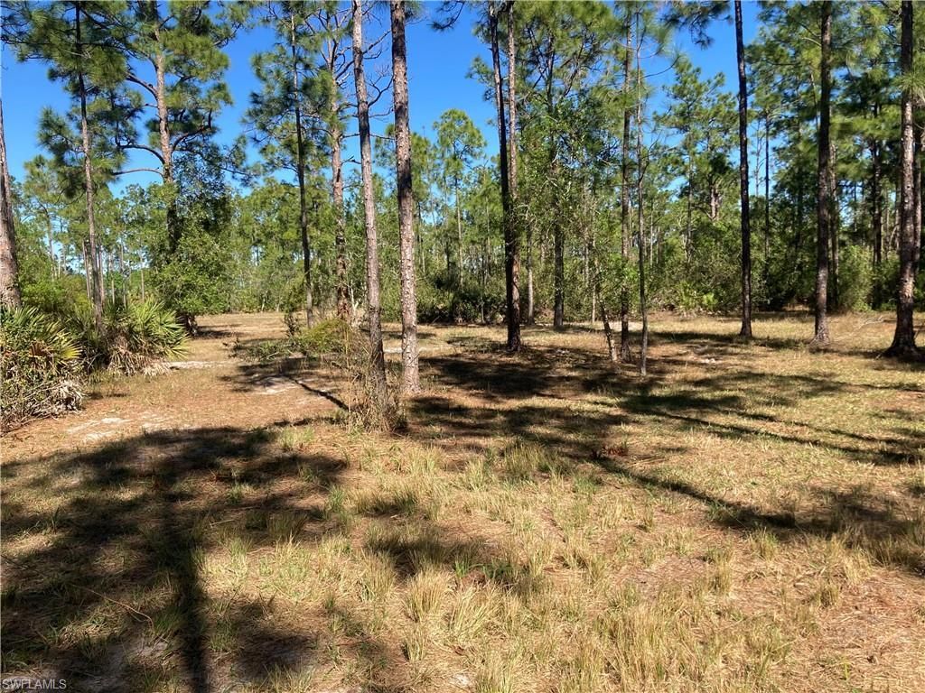 Xxx Honeybee Dr, Naples, FL 34120 Photo