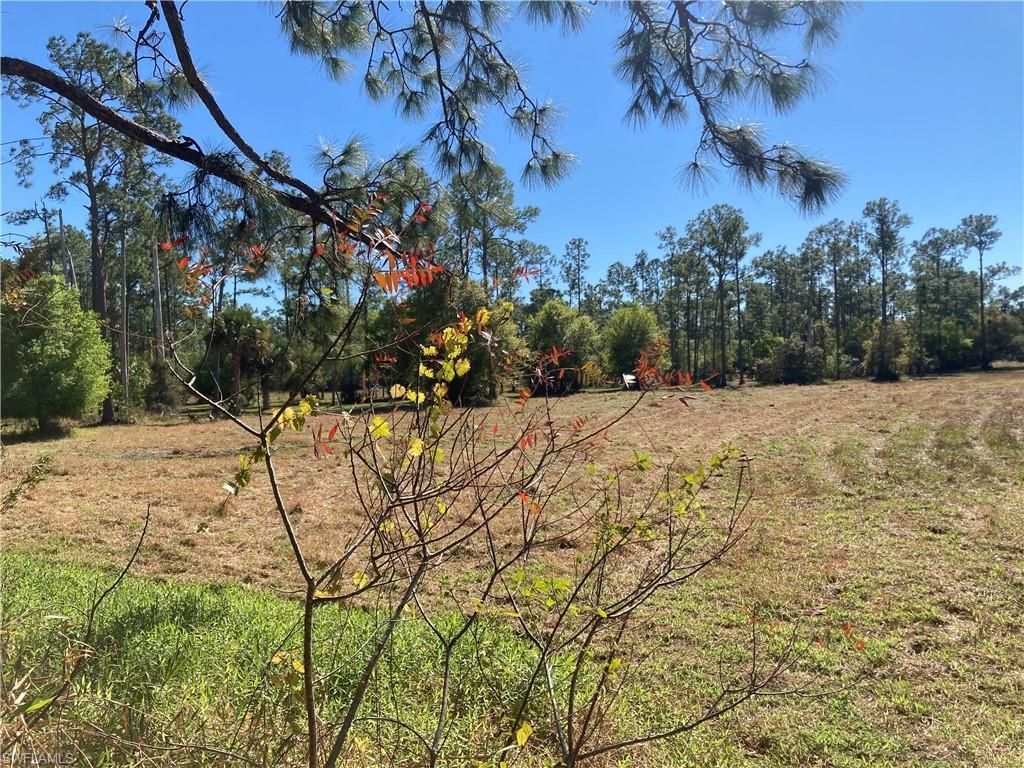 Xxx Honeybee Dr, Naples, FL 34120 Photo