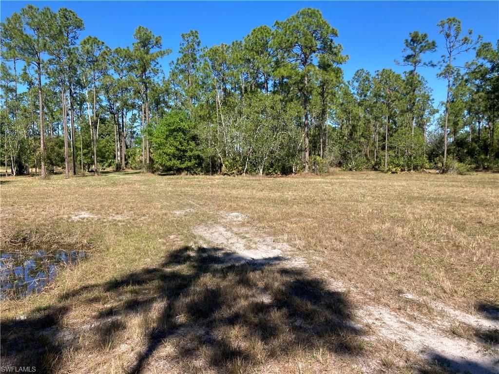 Xxx Honeybee Dr, Naples, FL 34120 Photo