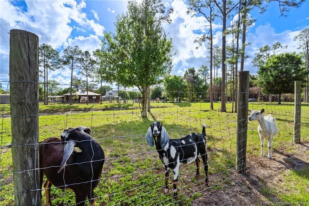 6347 SW Travers Street, Palm City, FL 34990 Photo