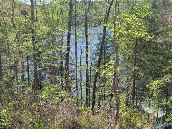 458 County Road 4036, Arley, AL 35541