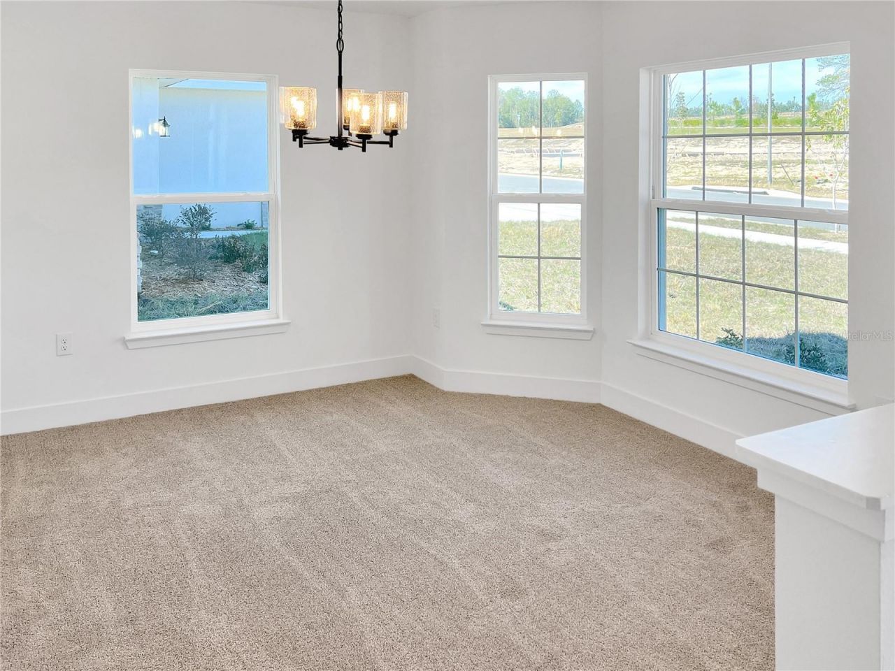 262 Verny Grove Lane, Leesburg, FL 34748 Photo