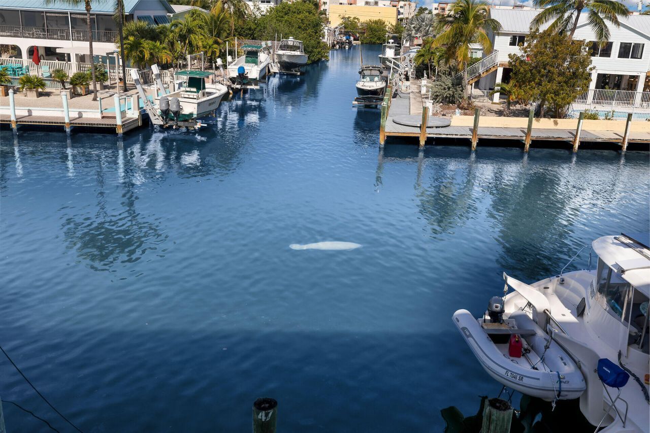 21 Sombrero Boulevard, Unit 407, Marathon, FL 33050 Photo