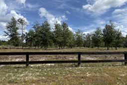 Lot 10-5 Marion Road photo 4