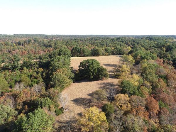 615 Thomas Hollow Road, Rocky Comfort, MO 64861