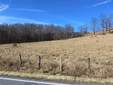 1004 JACKSON RIVER TPKE, MONTEREY, VA 24465