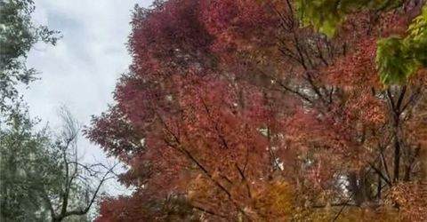 611 Nixon Avenue, Reno, NV 89509 Photo