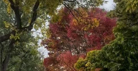 611 Nixon Avenue, Reno, NV 89509 Photo