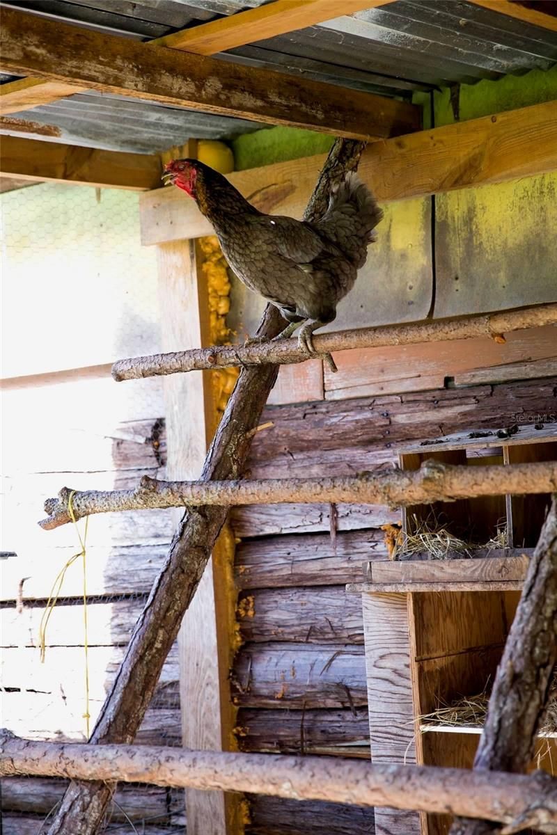 1045 Buckles Road, Pierson, FL 32180 Photo