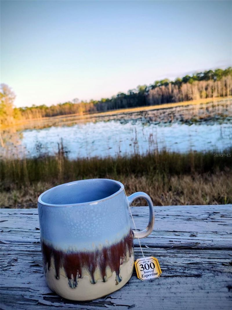 1045 Buckles Road, Pierson, FL 32180 Photo