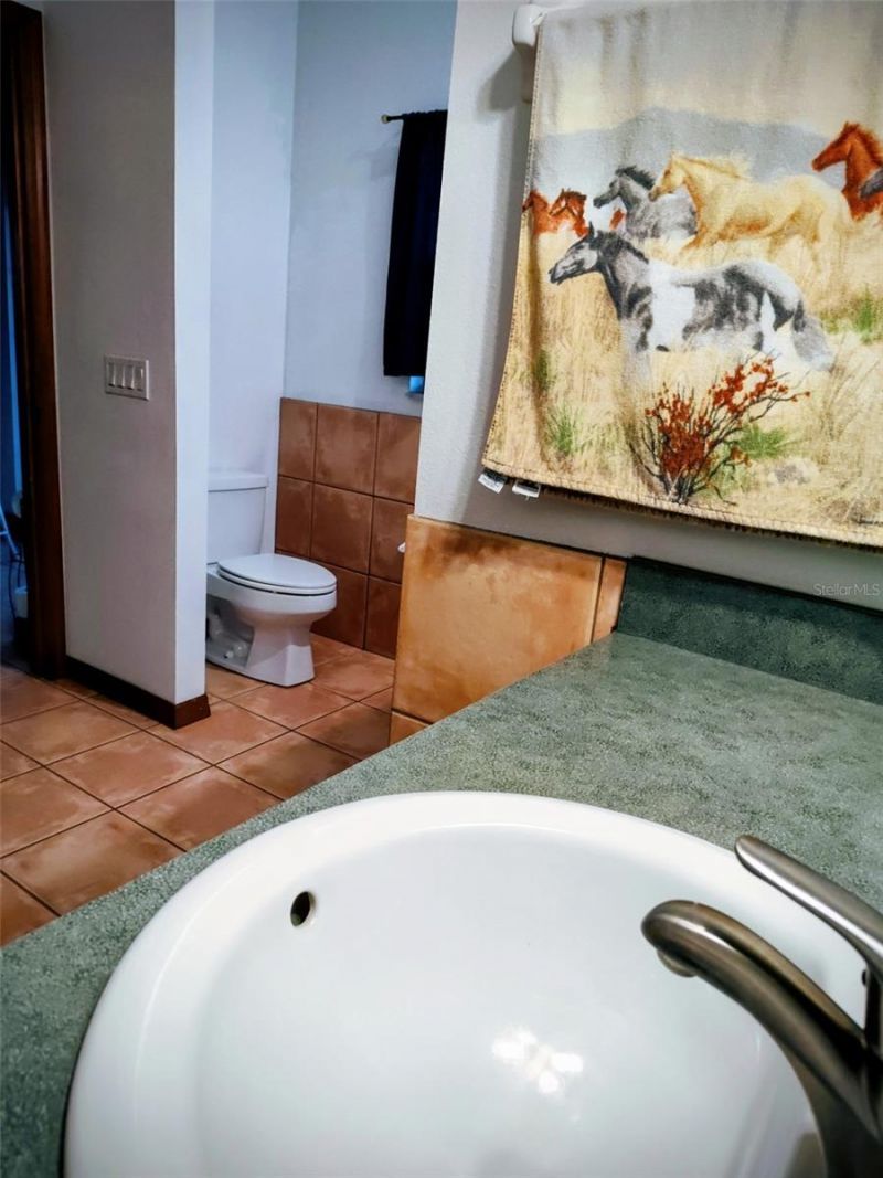 1045 Buckles Road, Pierson, FL 32180 Photo