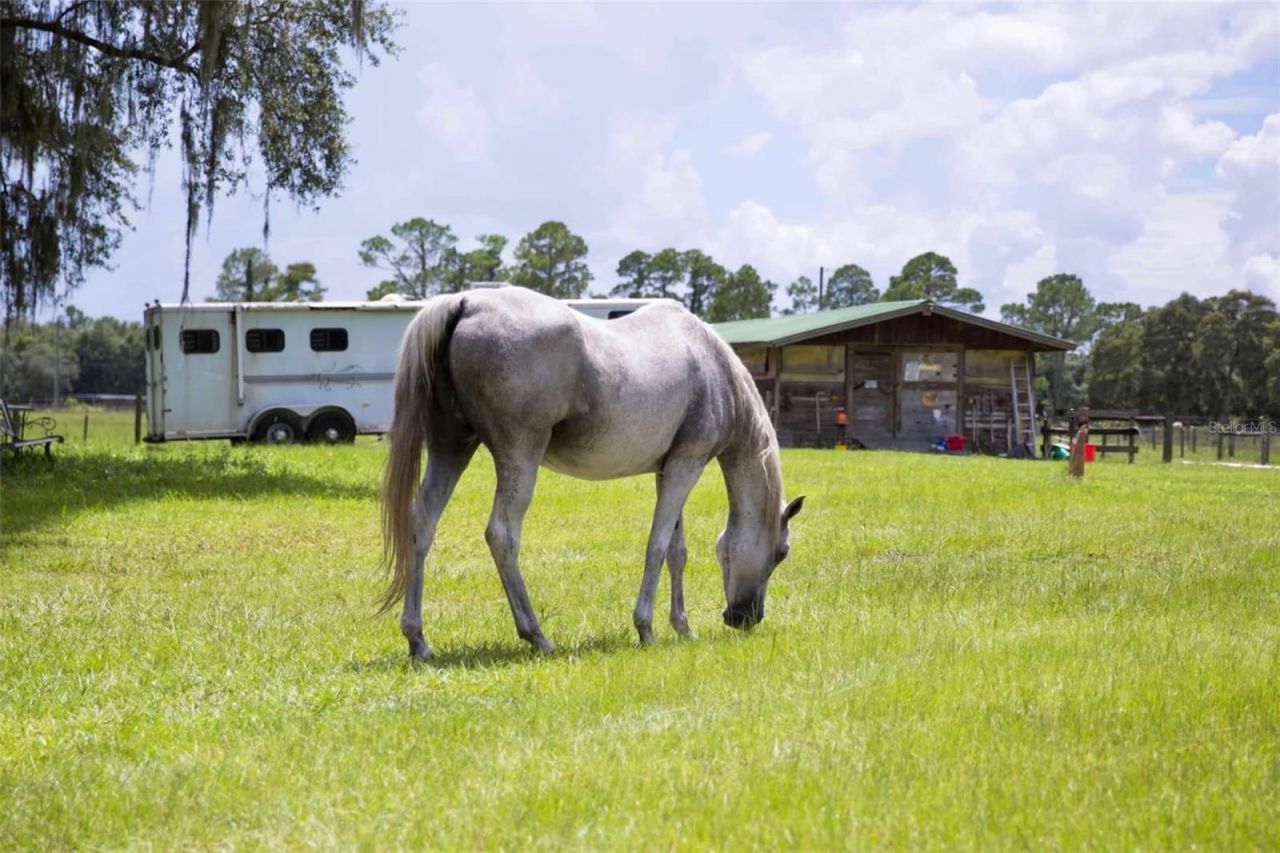 1045 Buckles Road, Pierson, FL 32180 Photo