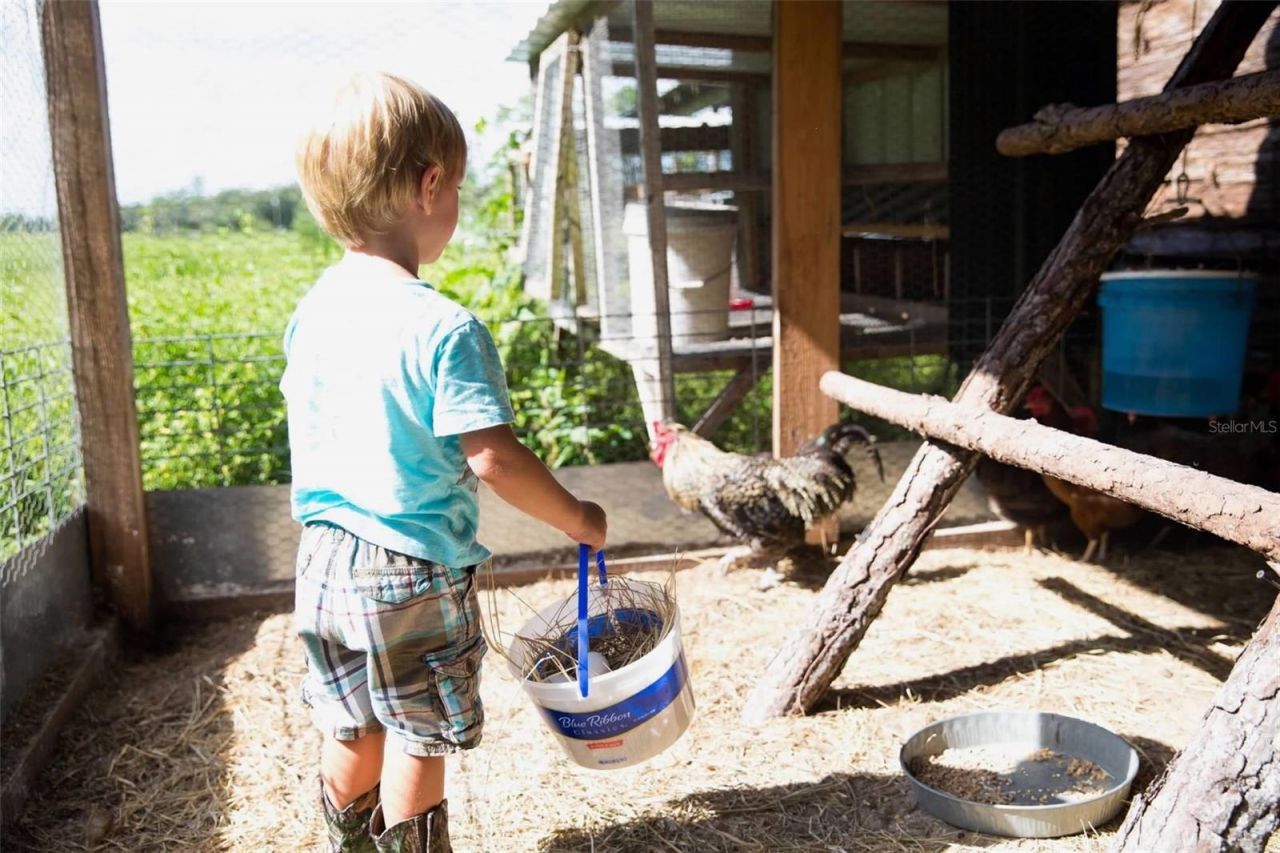 1045 Buckles Road, Pierson, FL 32180 Photo