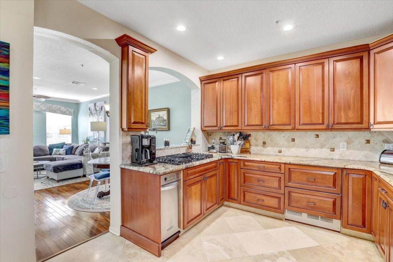 2965 Bayshore Pointe Drive, Tampa, FL 33611 Photo