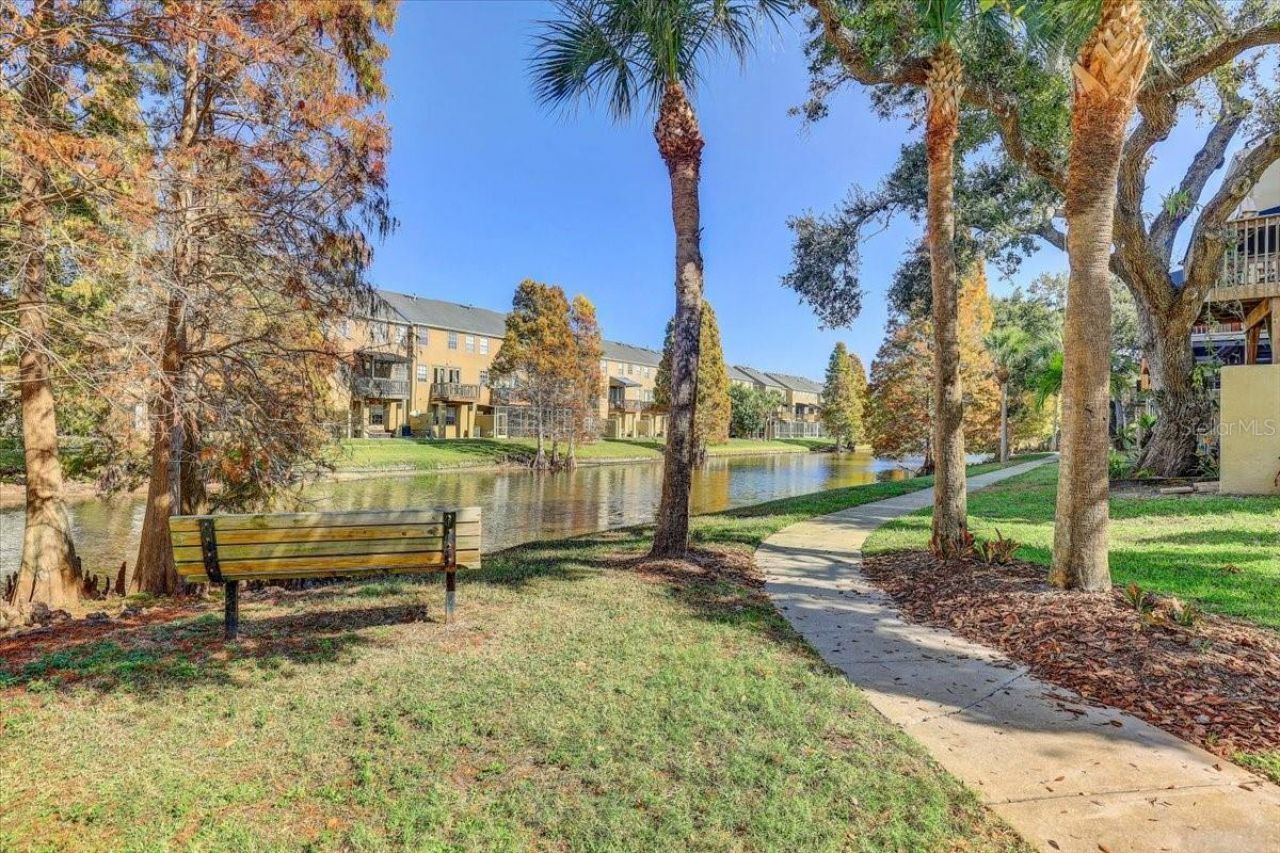 2965 Bayshore Pointe Drive, Tampa, FL 33611 Photo