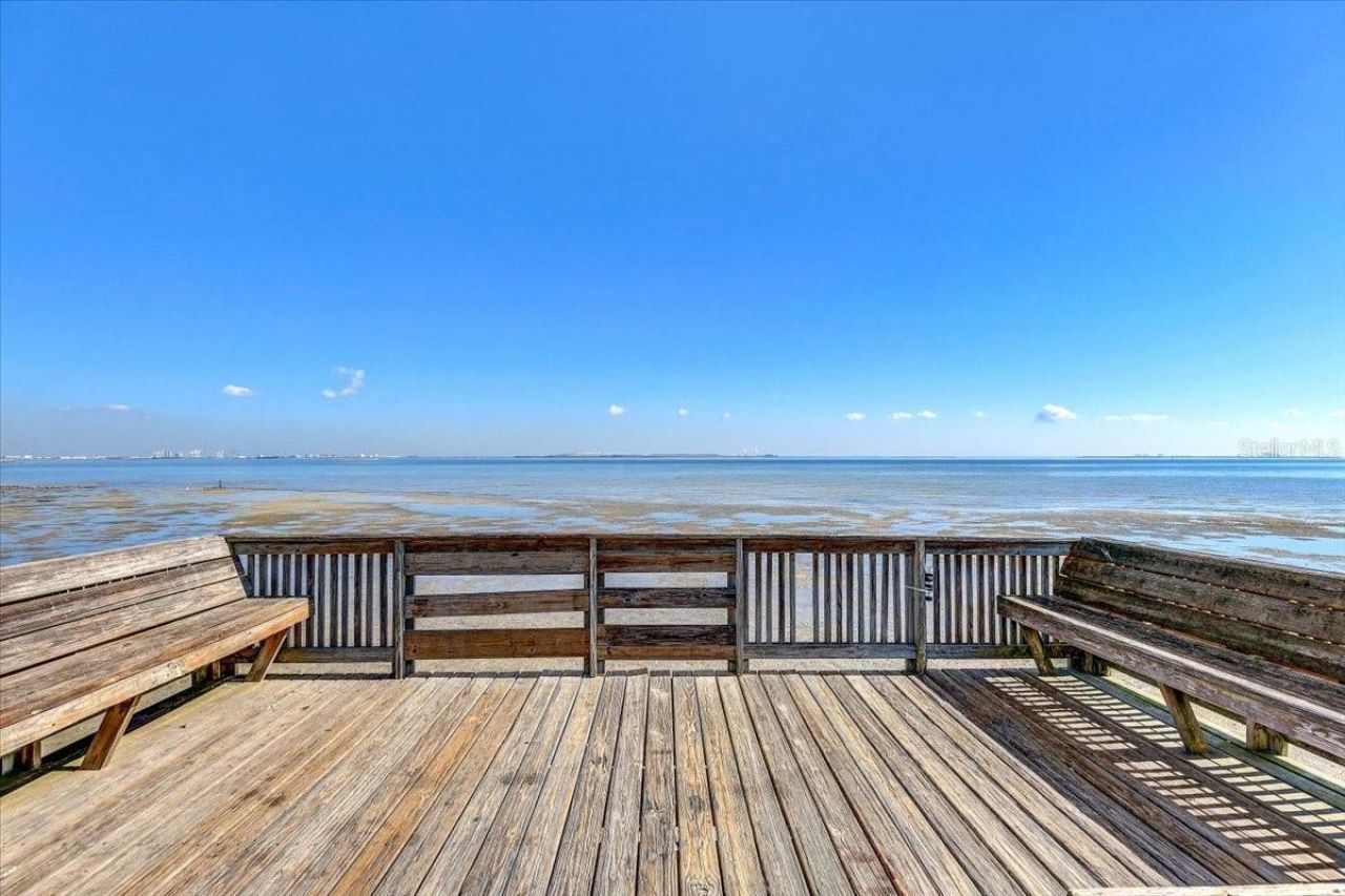 2965 Bayshore Pointe Drive, Tampa, FL 33611 Photo