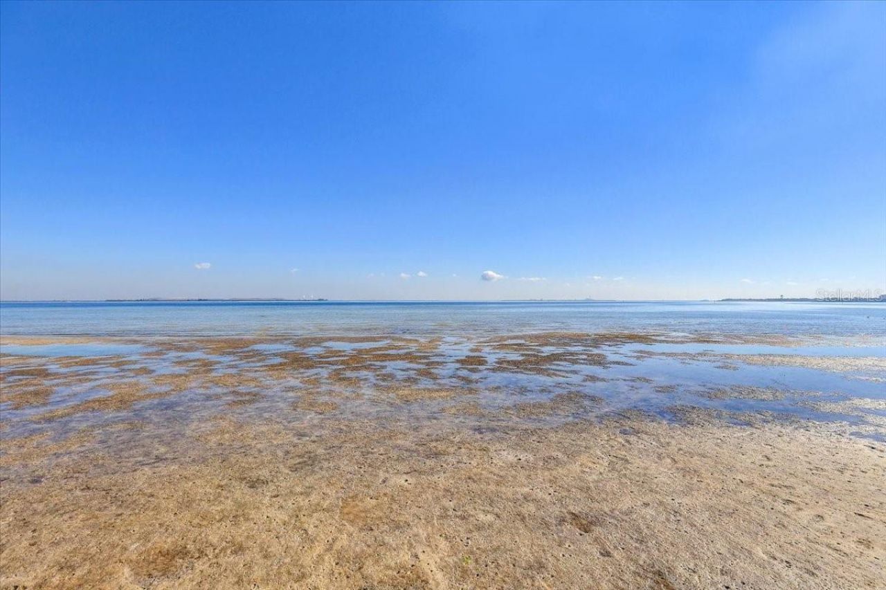 2965 Bayshore Pointe Drive, Tampa, FL 33611 Photo