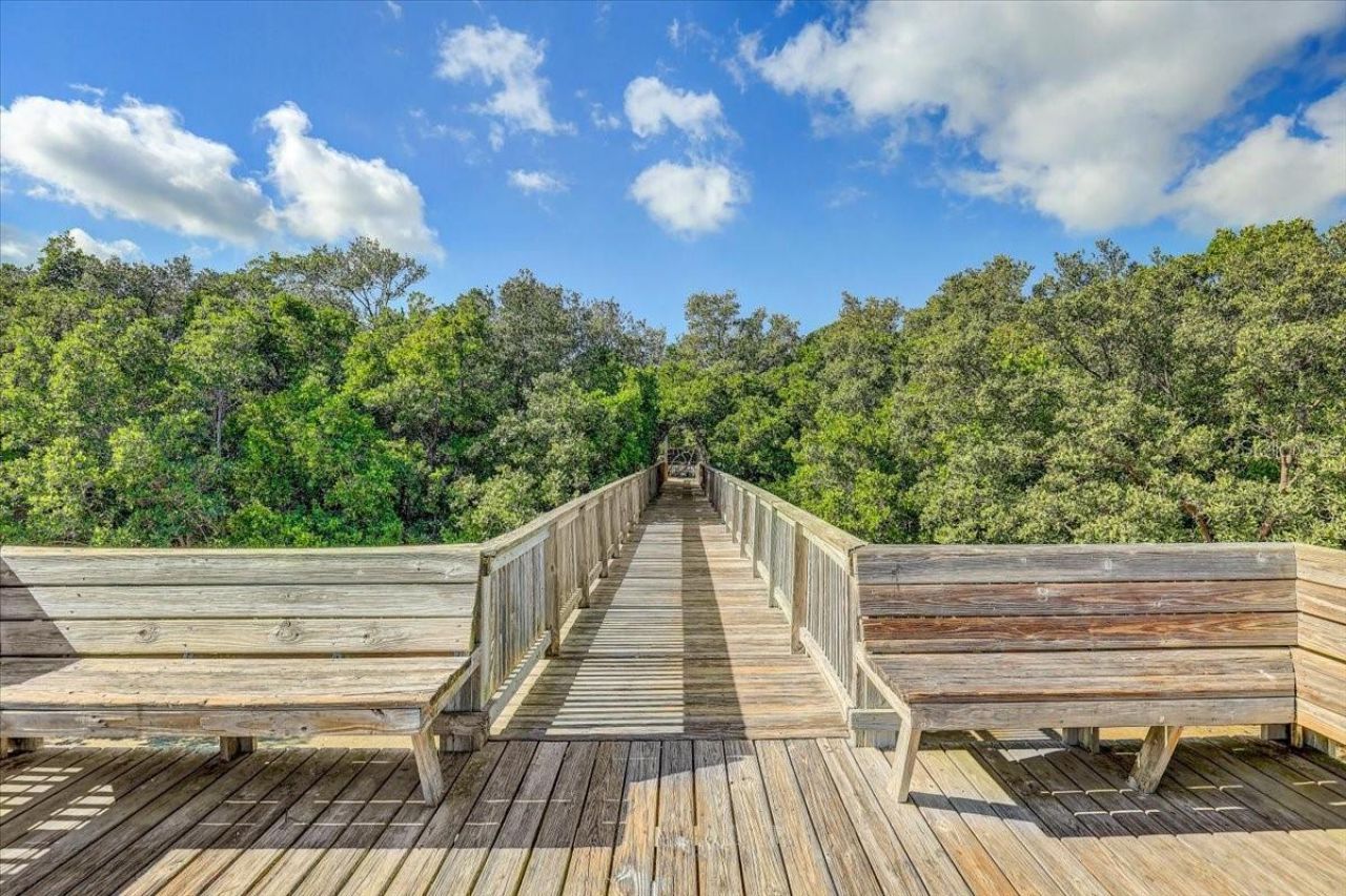 2965 Bayshore Pointe Drive, Tampa, FL 33611 Photo
