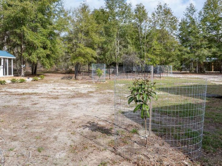 4705 168th Terrace, Wellborn, FL 32094