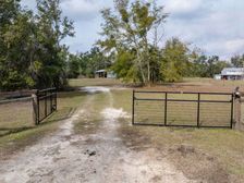 4705 168th Terrace, Wellborn, FL 32094