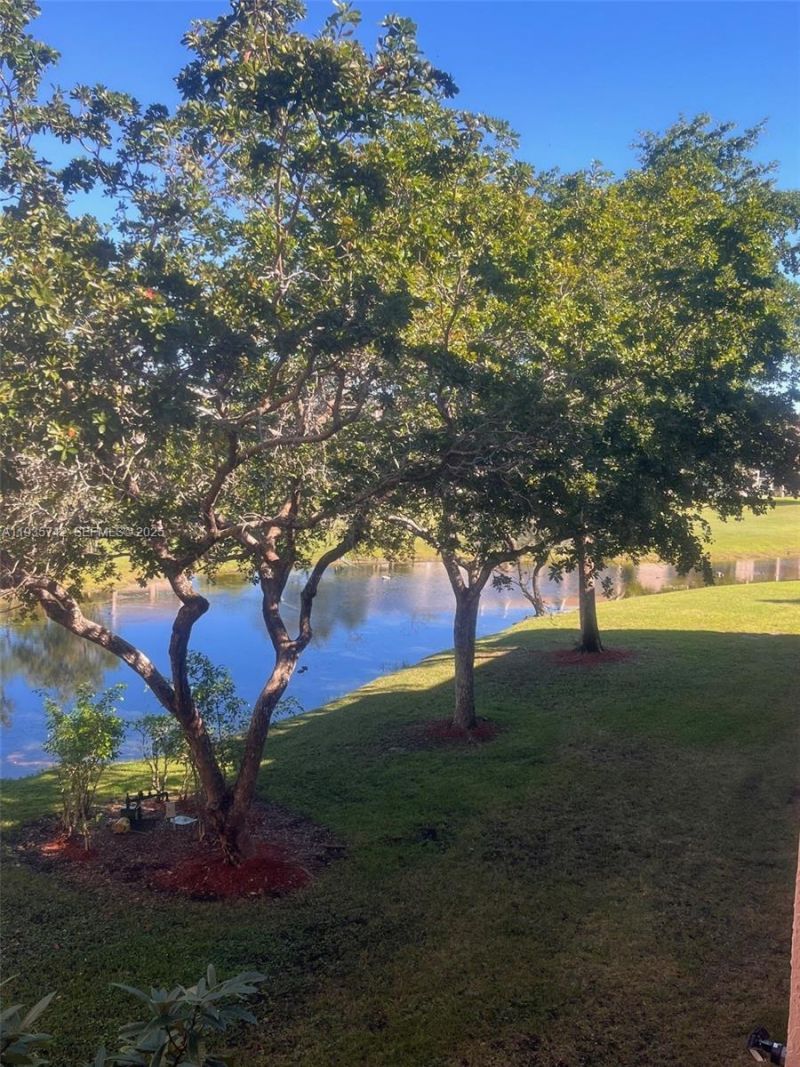 2704 NW 104th Ave , Unit 309, Sunrise, FL 33322 Photo