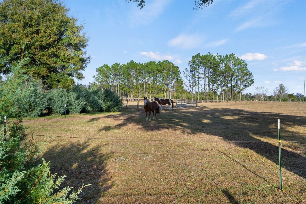 23016 NW 102nd Avenue, Alachua, FL 32615 Photo