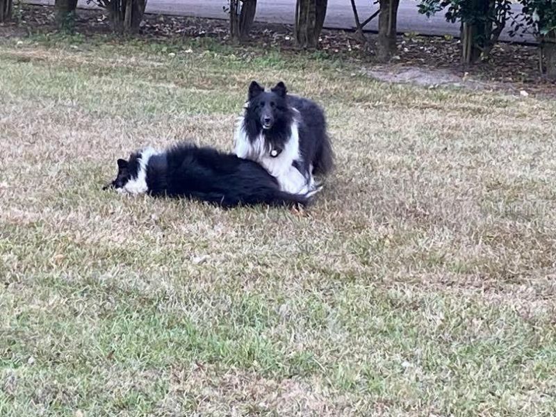 23016 NW 102nd Avenue, Alachua, FL 32615 Photo