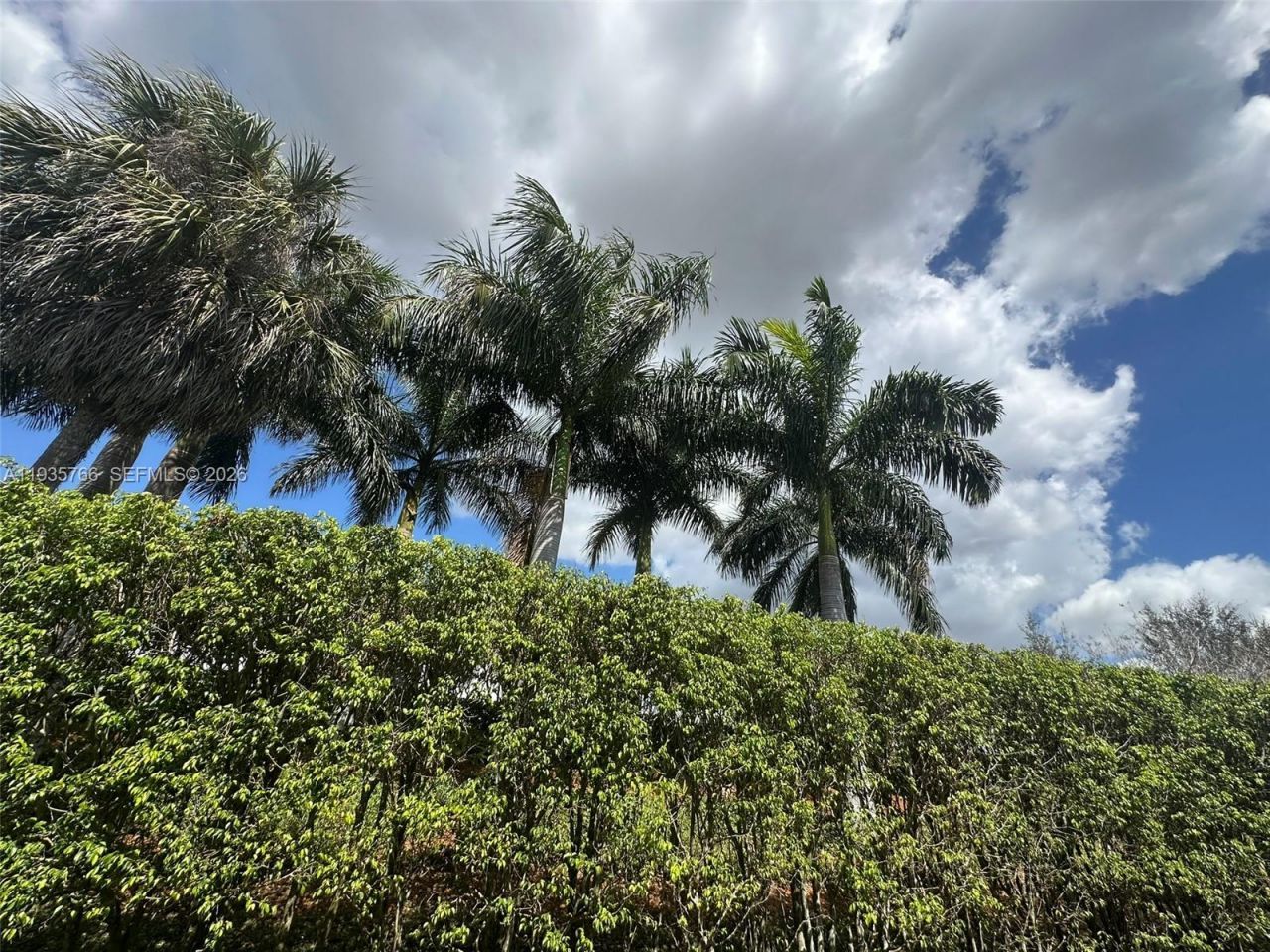 16511 Blatt Blvd, Unit 203, Weston, FL 33326 Photo