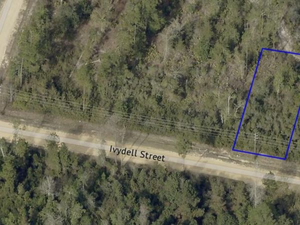 11721 Ivydell Street, Fountain, FL 32438