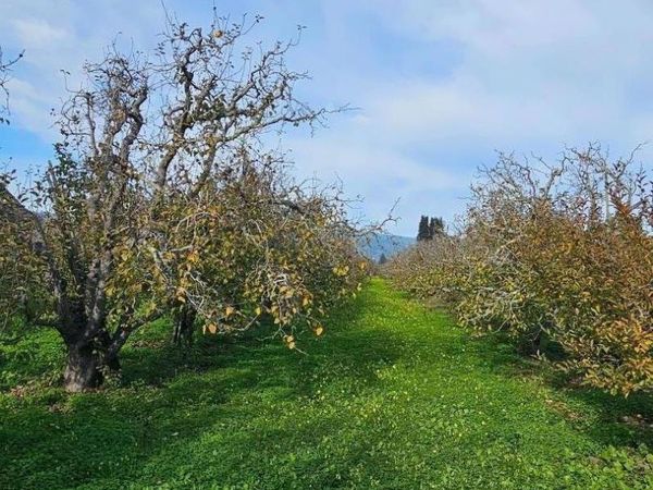 0 Varni Rd, Corralitos, CA 95076