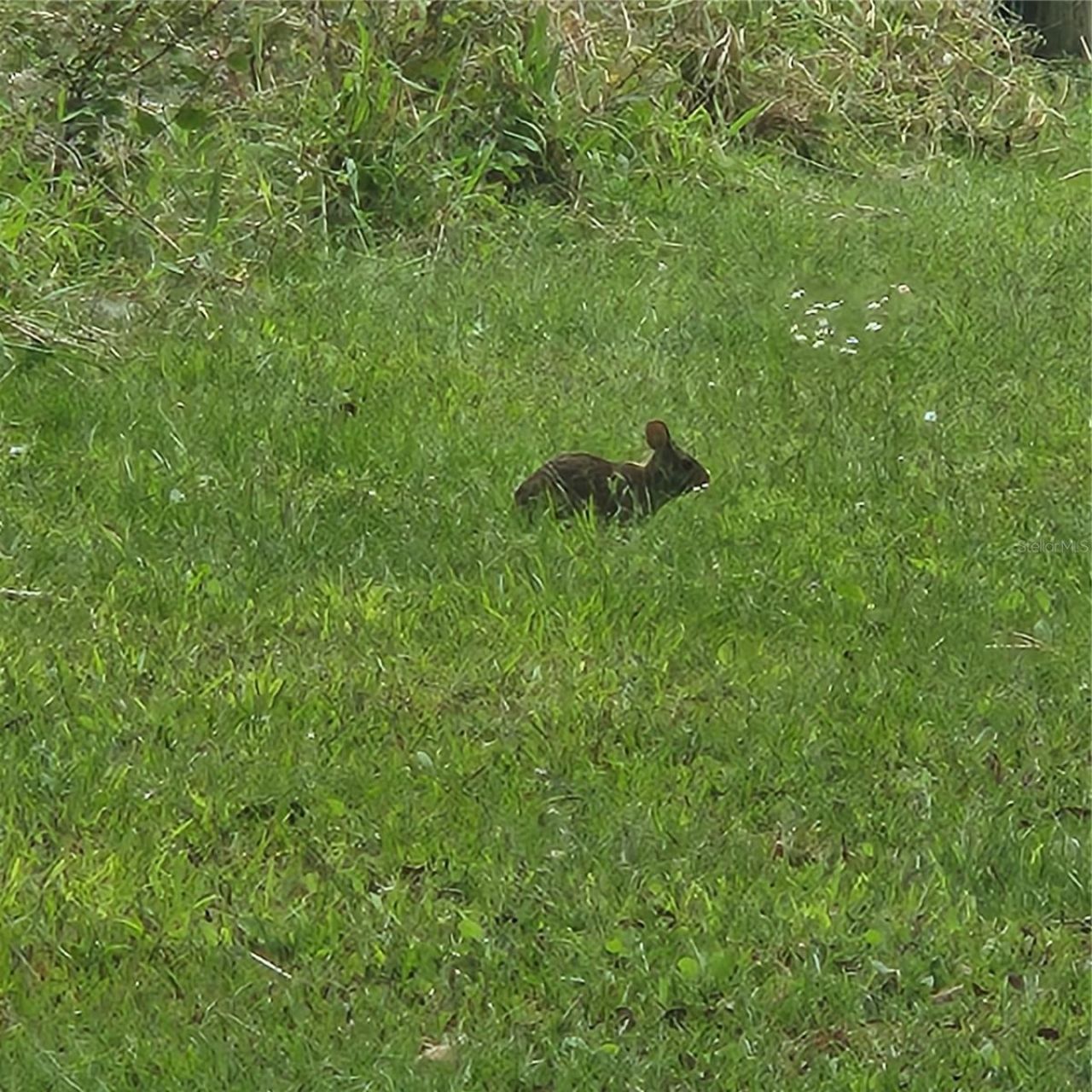 4705 Kissimmee Park Road, Saint Cloud, FL 34772 Photo