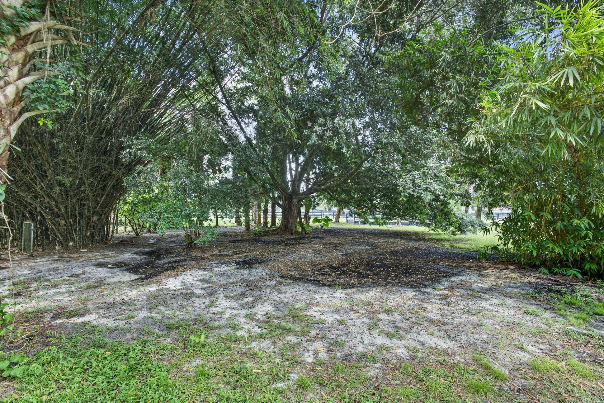 2340 B Road, Loxahatchee Groves, FL 33470 Photo