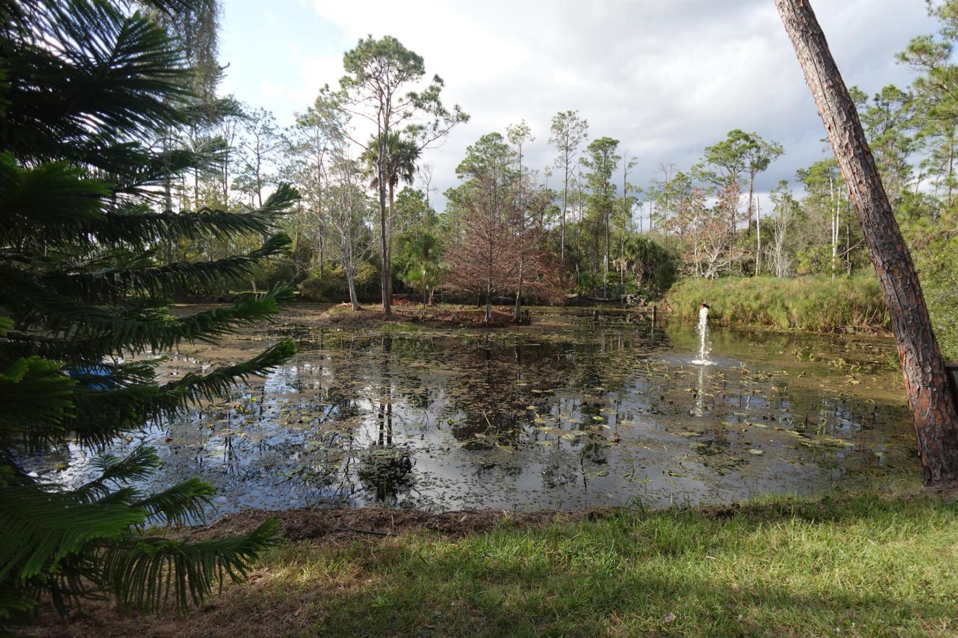 32801 N Us-441 Lot 187, Okeechobee, FL 34972 Photo