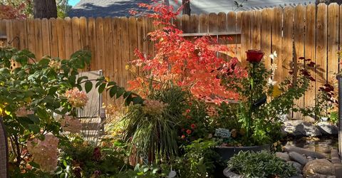 3900 Cashill Boulevard, Reno, NV 89509 Photo