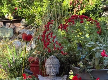 3900 Cashill Boulevard, Reno, NV 89509 Photo