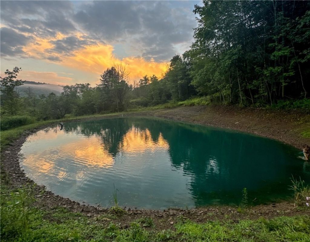 Vl County Route 33, Bolivar, NY 14715 Main Photo