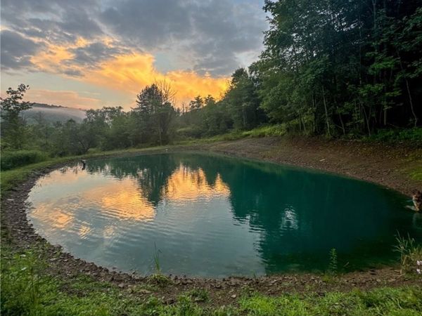 VL County Route 33, Bolivar, NY 14715