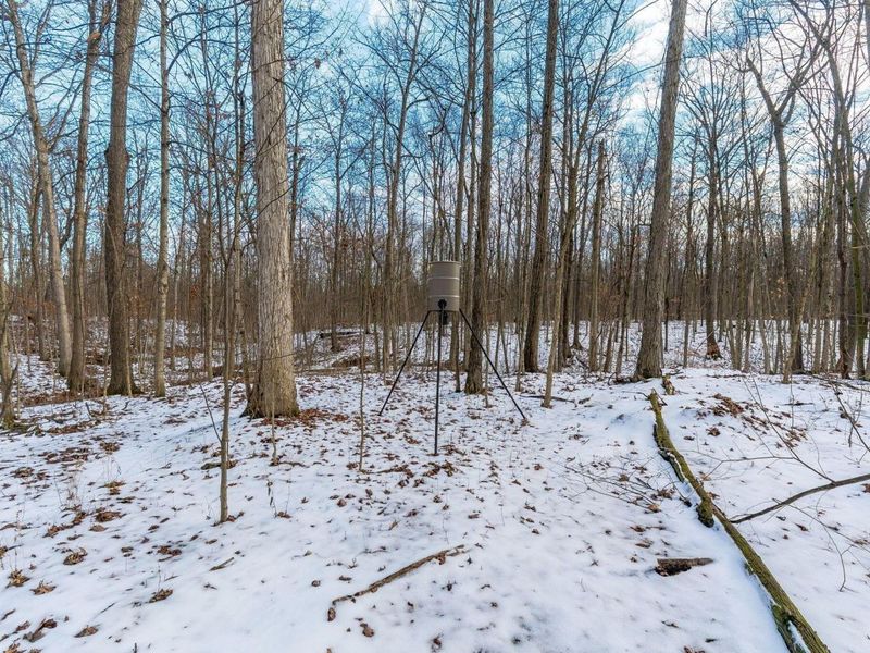 19400 Bear Swamp Road, Marysville, OH 43040 Photo 22